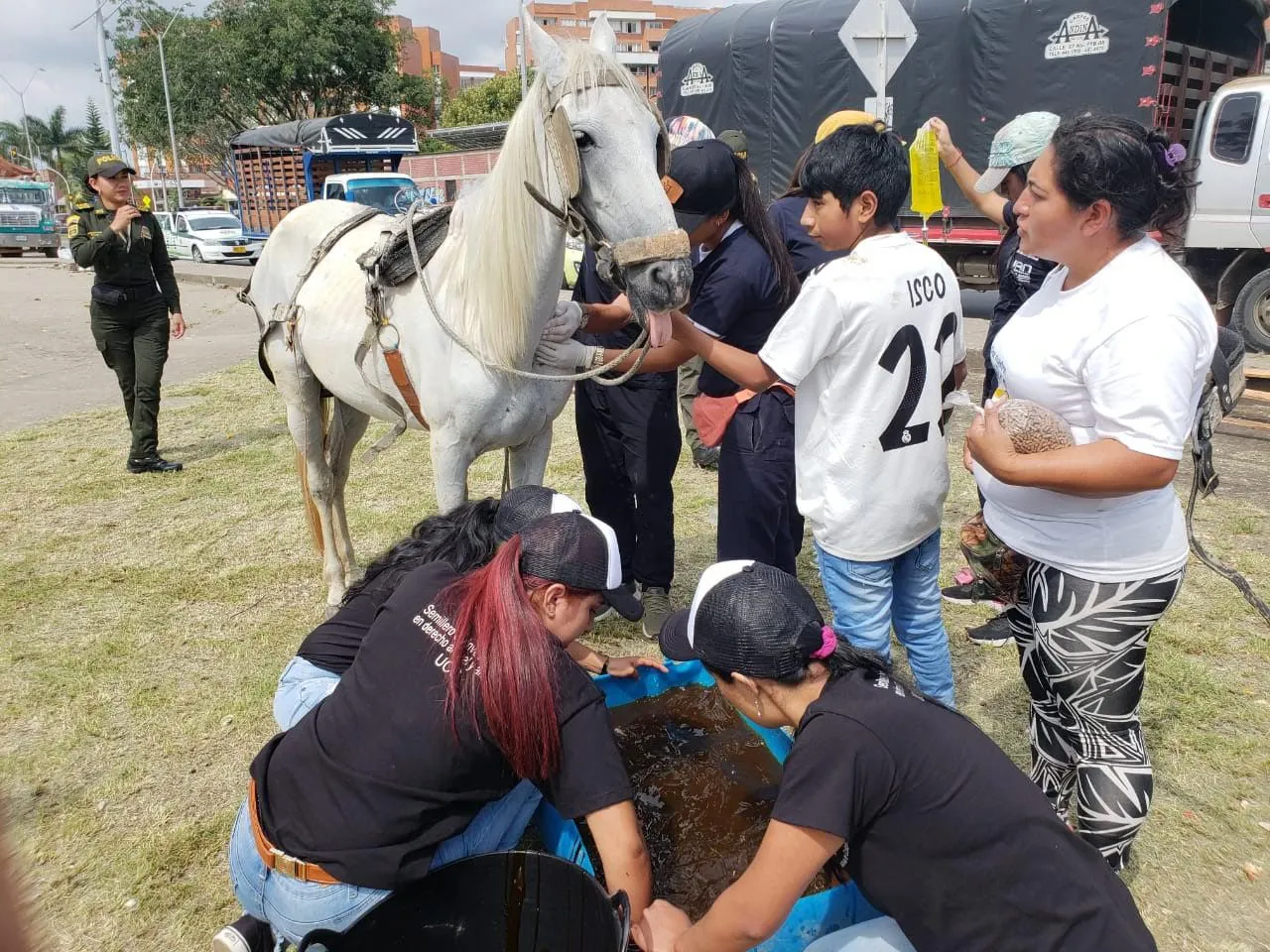 Actividad educativa sobre la Ley 1774 de 2016
